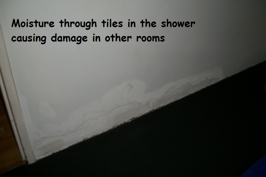 Placeholder  Image